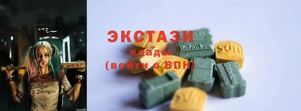 тгк Дмитров