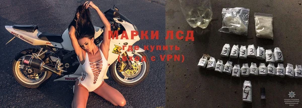 тгк Дмитров