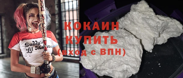 тгк Дмитров