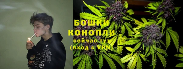 тгк Дмитров