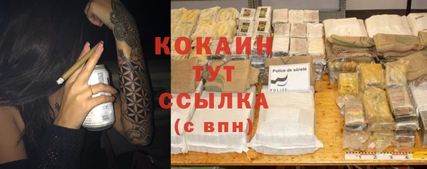тгк Дмитров