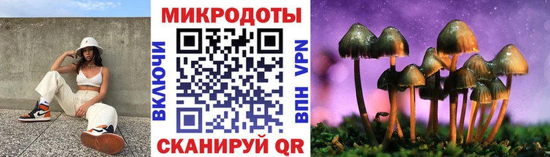 Галлюциногенные грибы Psilocybine cubensis  Купить закладки  Карабаново 